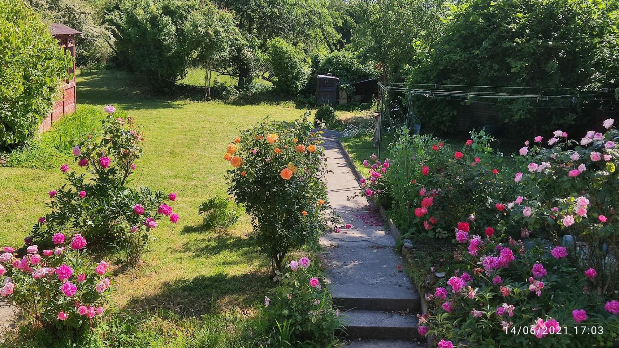 Le Petit Moulin Rouge, B&B, Sdb En-Suite, Parking Prive Gratuit Beauvoir  Buitenkant foto